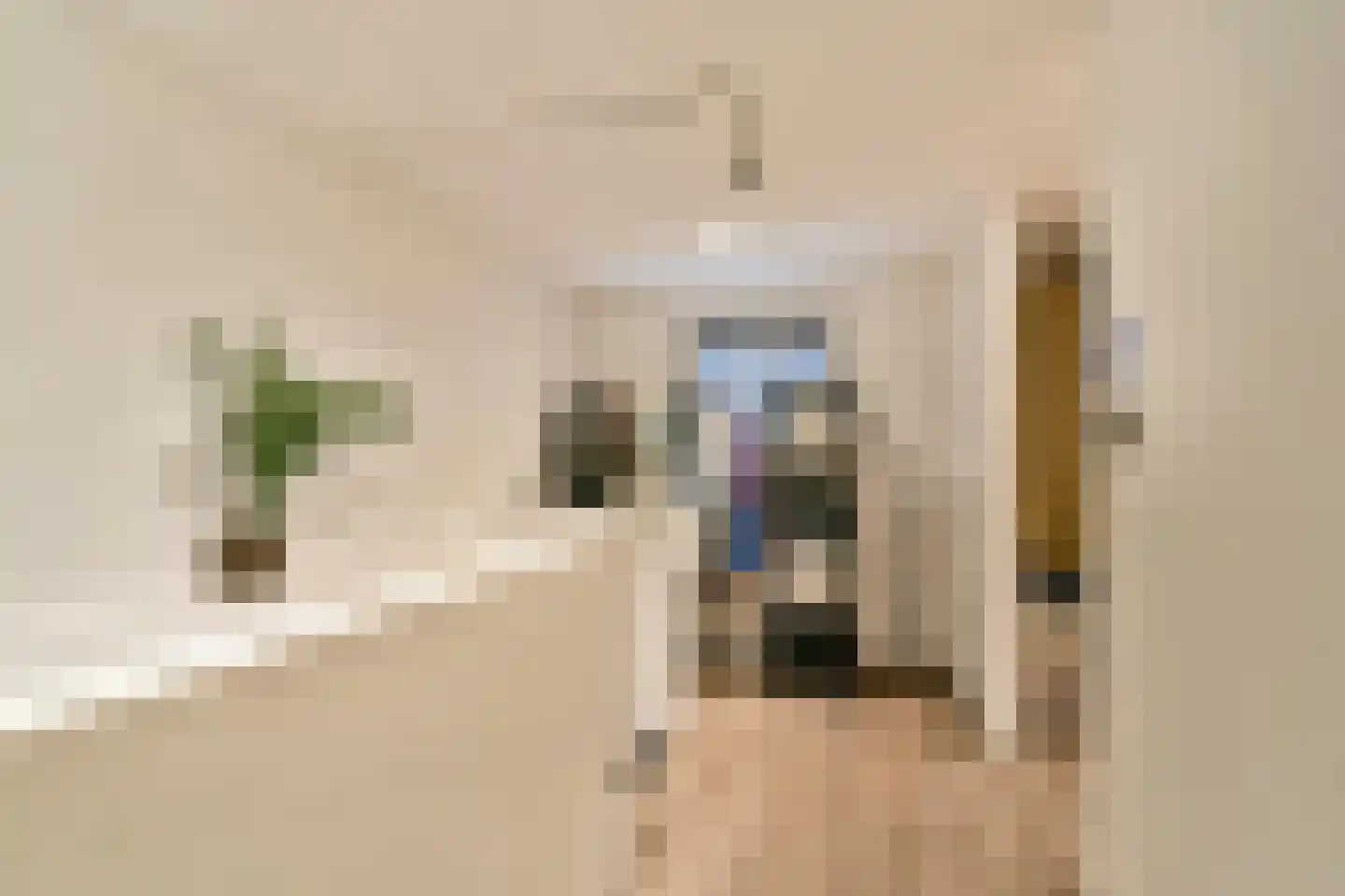 Smetanastraat 12 Spijkenisse thumbnail 18