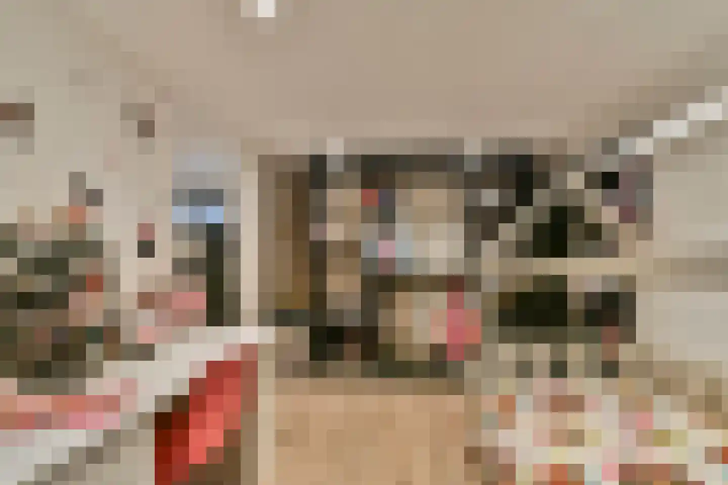 Smetanastraat 12 Spijkenisse thumbnail 20