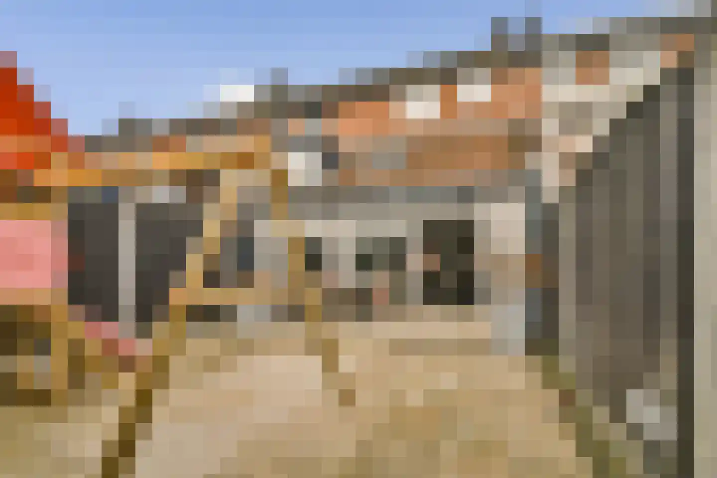 Smetanastraat 12 Spijkenisse thumbnail 22