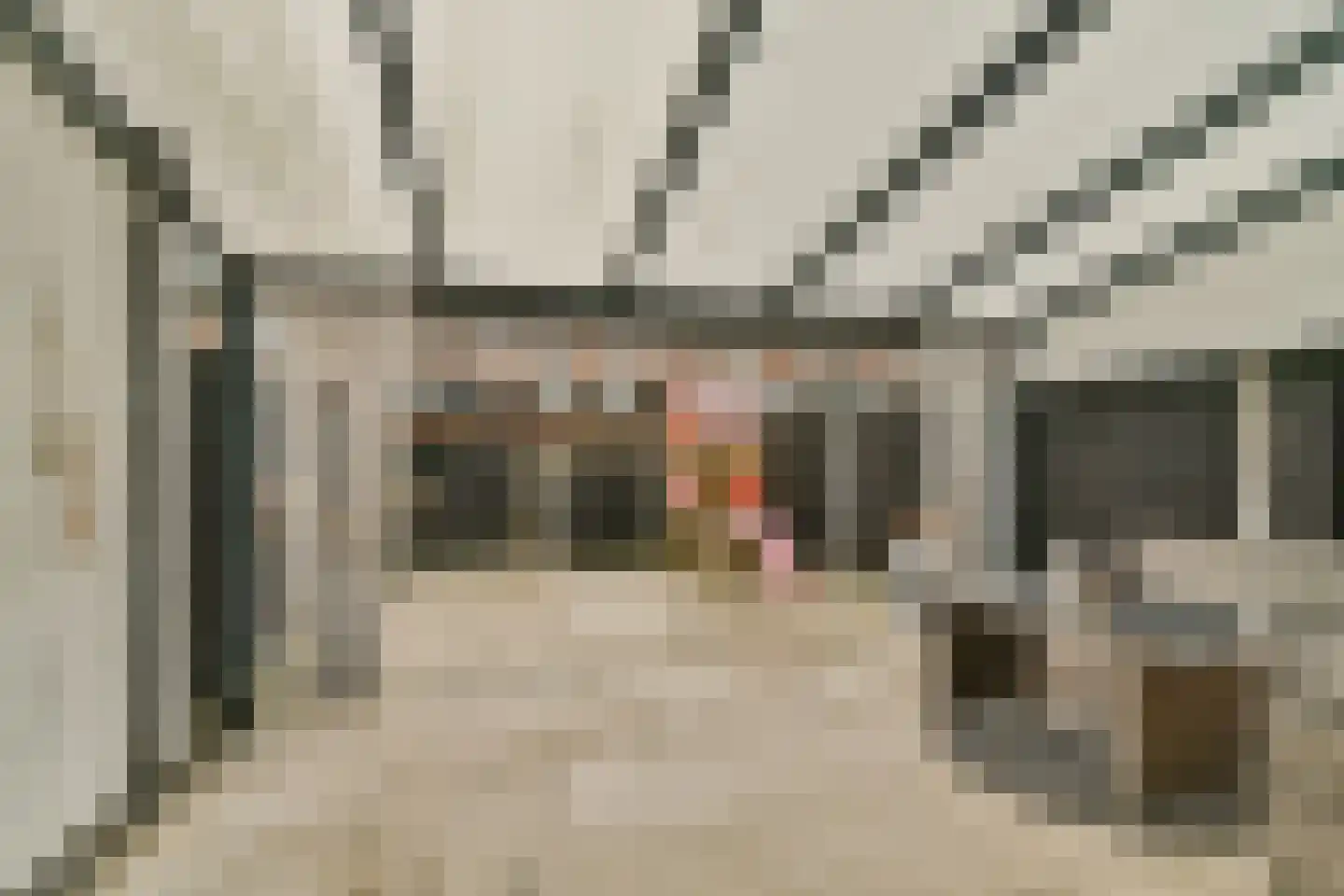 Smetanastraat 12 Spijkenisse thumbnail 23