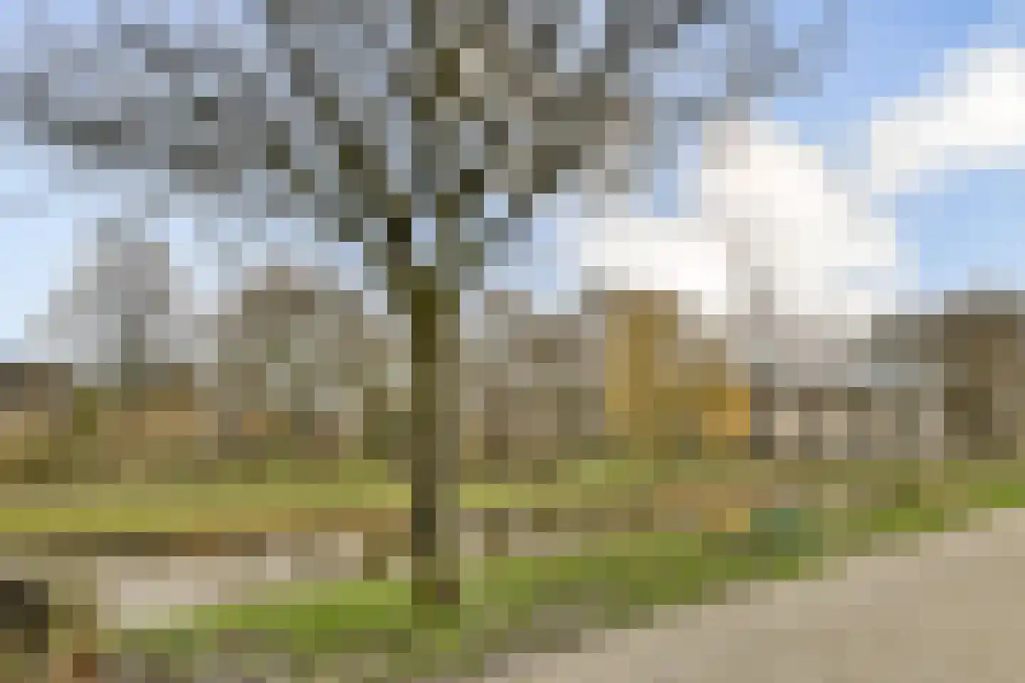 Smetanastraat 12 Spijkenisse thumbnail 27