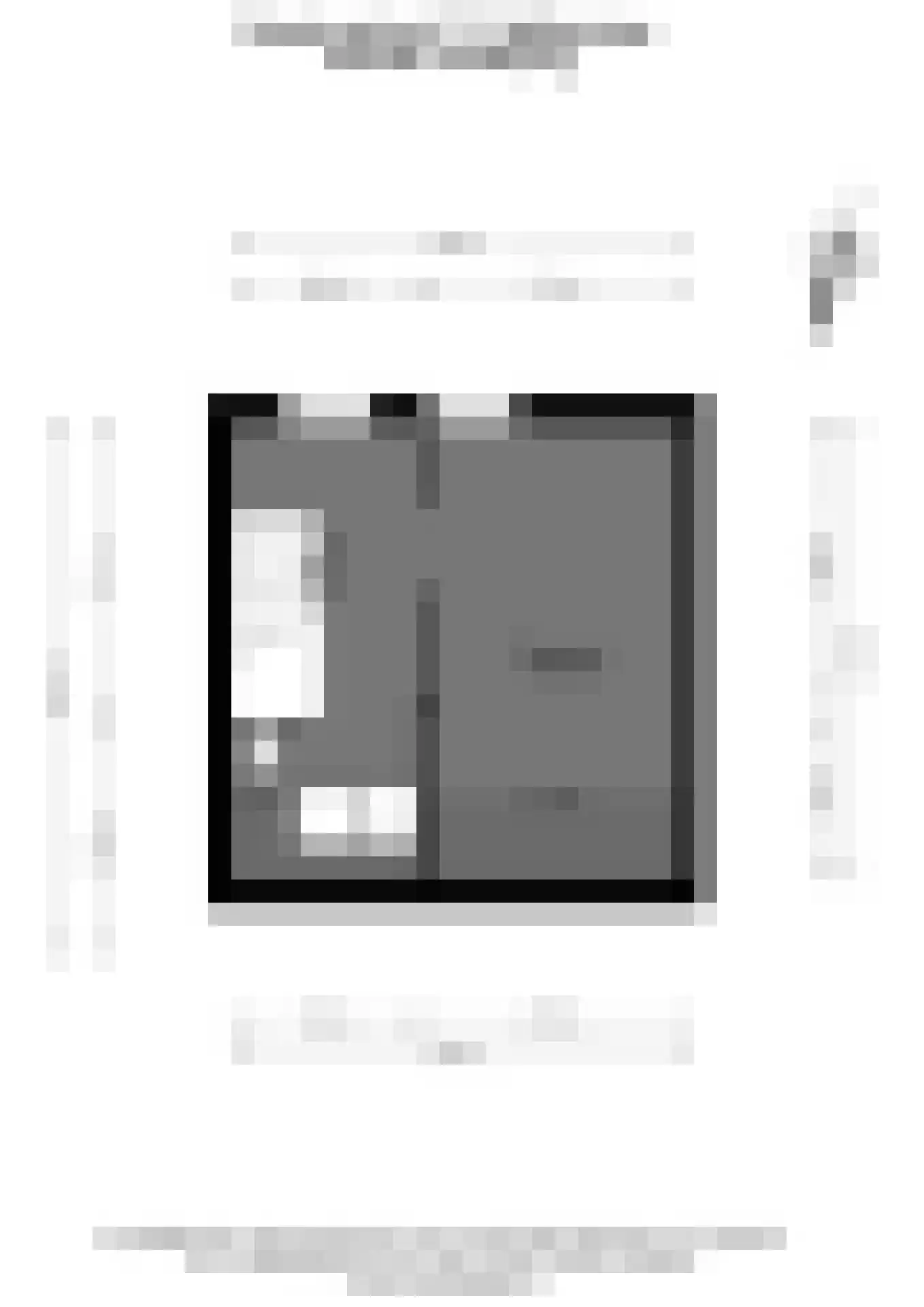 Smetanastraat 12 Spijkenisse thumbnail 30