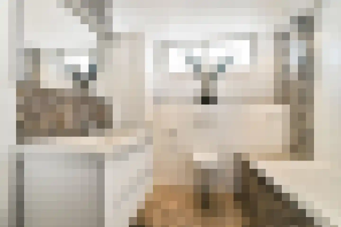 Smetanastraat 12 Spijkenisse thumbnail 4