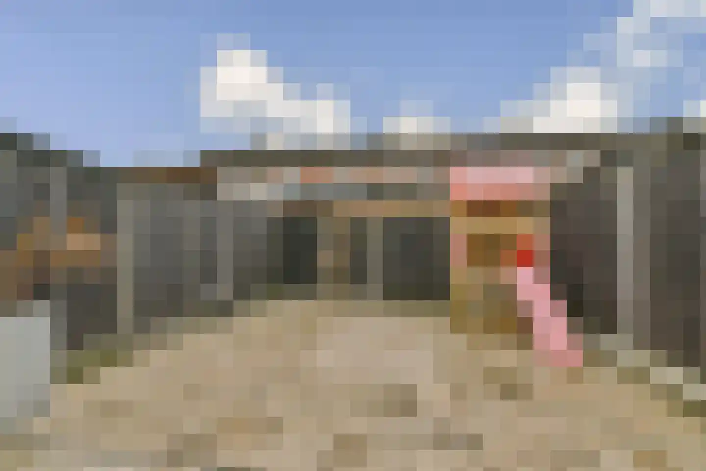 Smetanastraat 12 Spijkenisse thumbnail 5