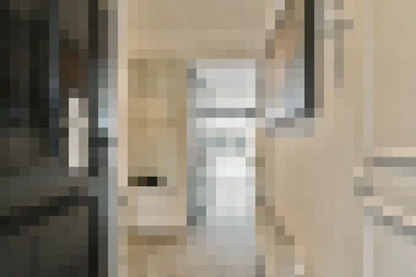 Smetanastraat 12 Spijkenisse thumbnail 6