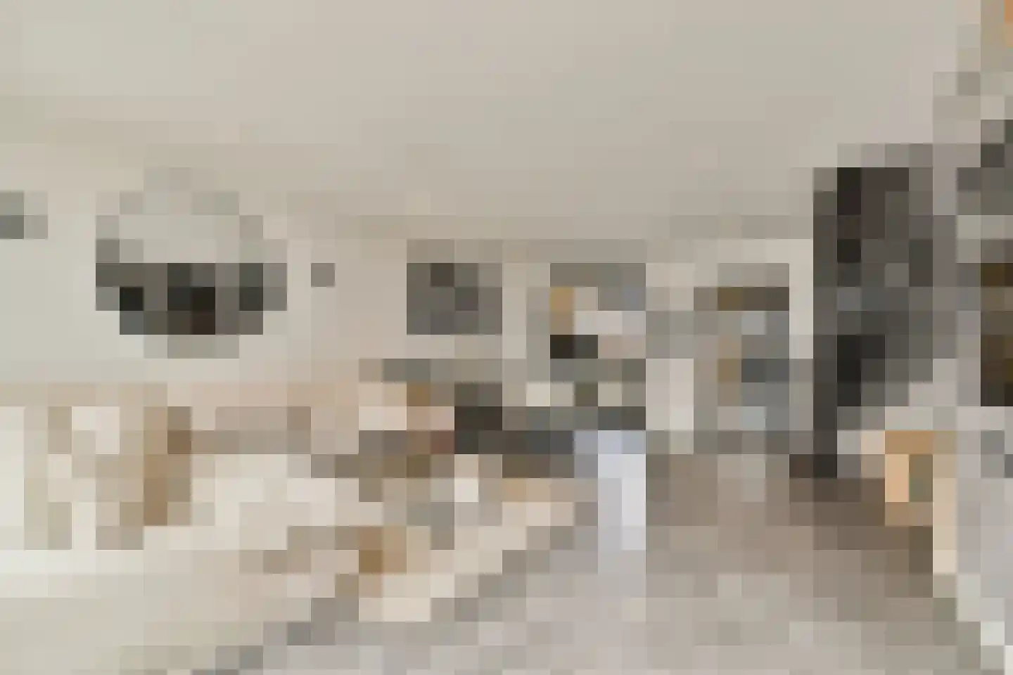 Smetanastraat 12 Spijkenisse thumbnail 8