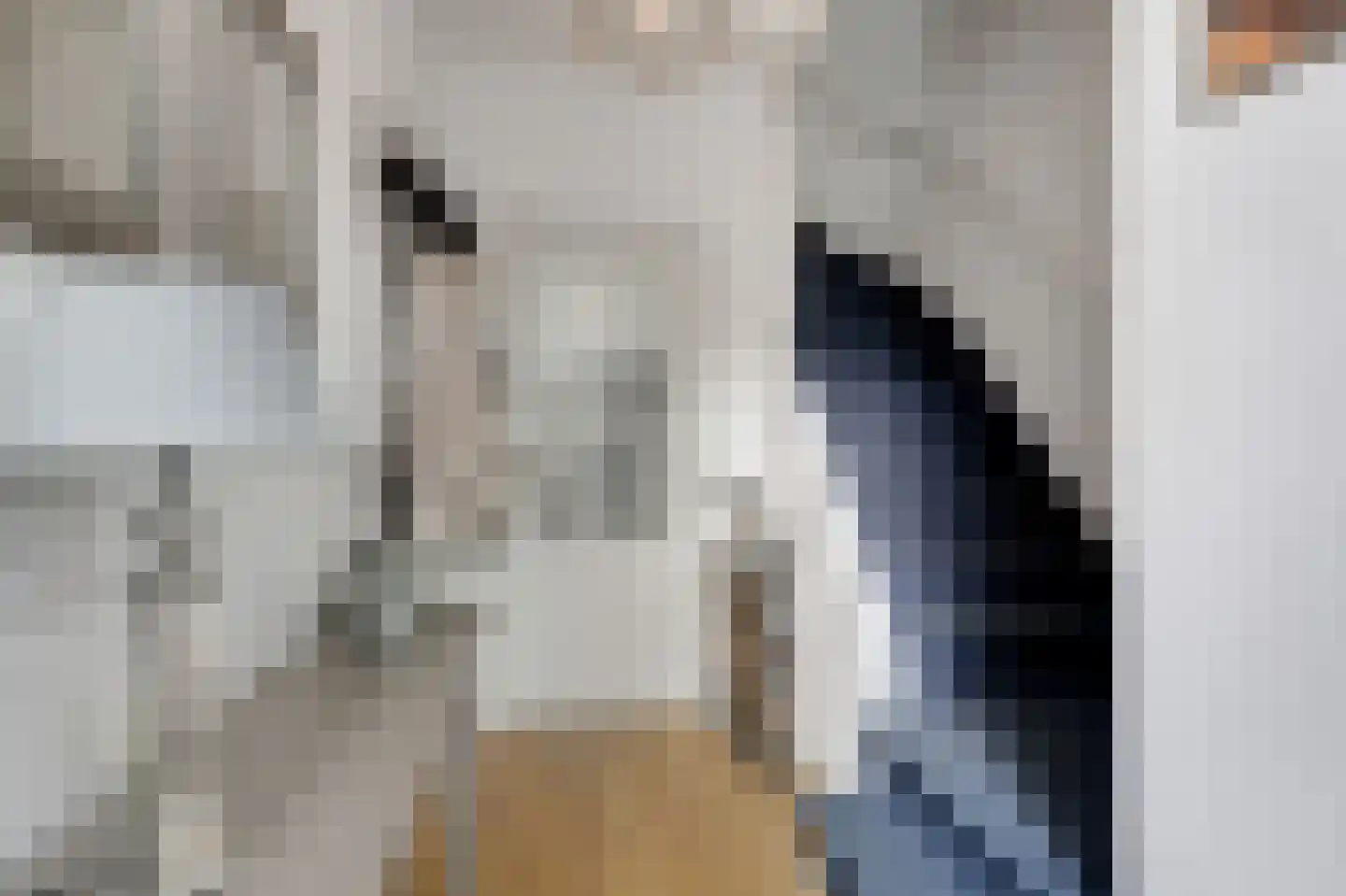 Smetanastraat 12 Zevenaar thumbnail 15