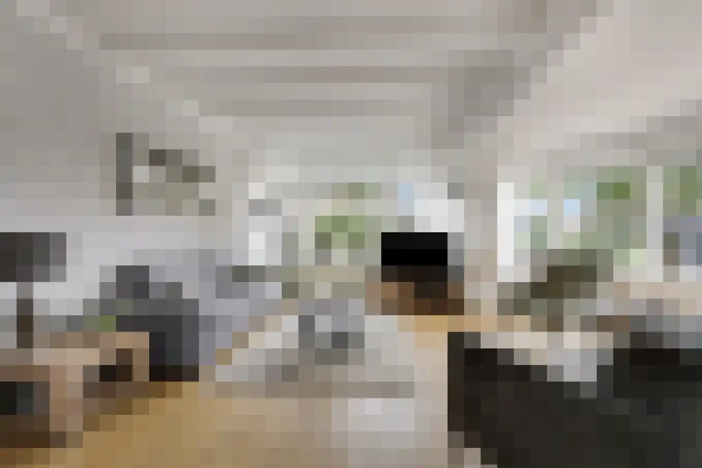 Smetanastraat 12 Zevenaar thumbnail 17