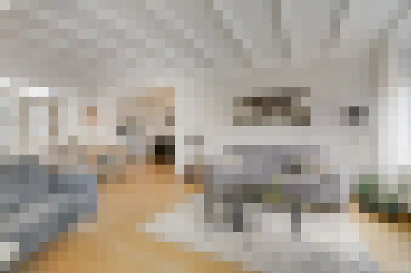 Smetanastraat 12 Zevenaar thumbnail 20