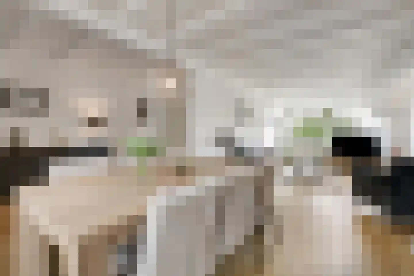 Smetanastraat 12 Zevenaar thumbnail 22