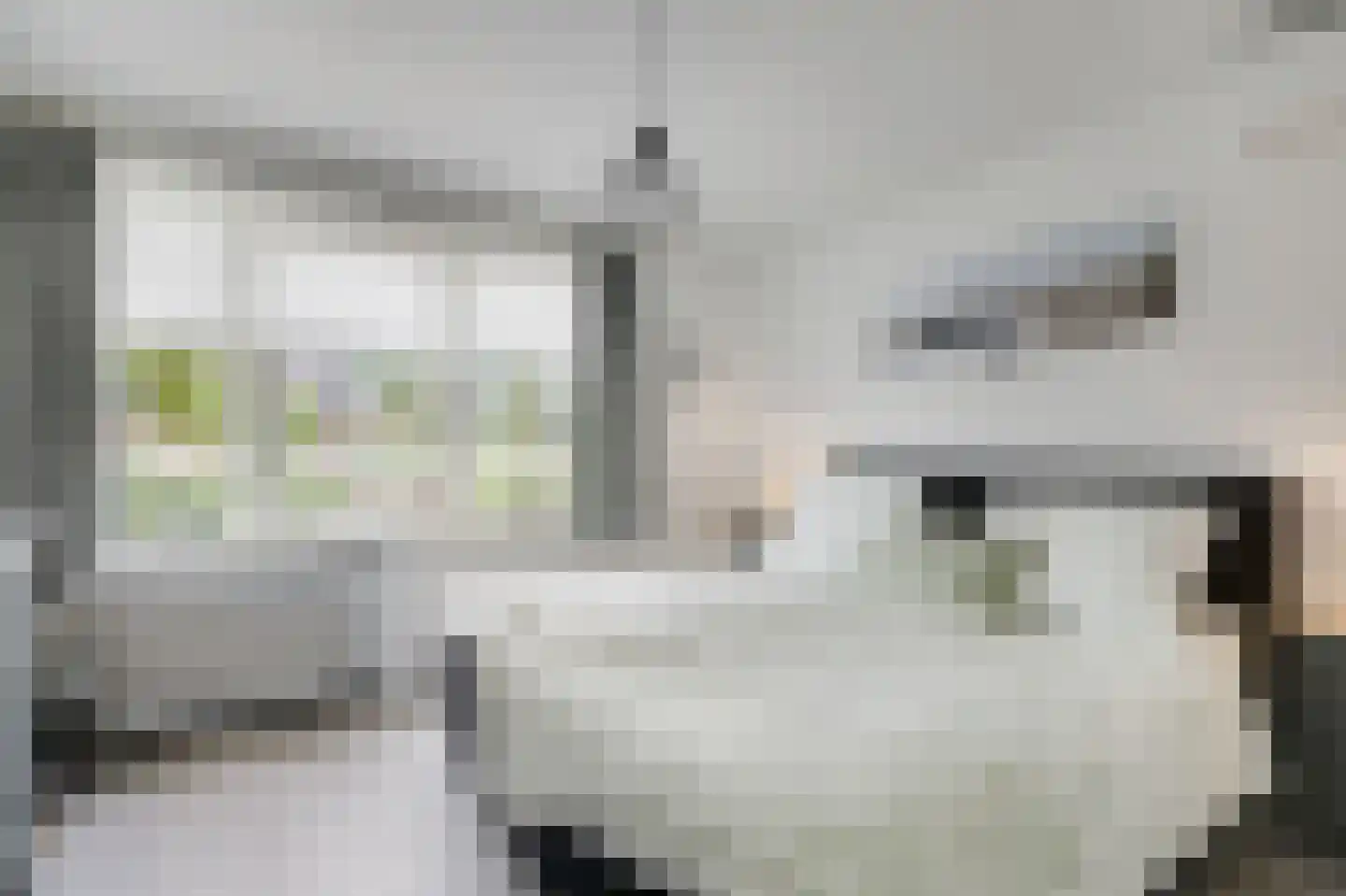 Smetanastraat 12 Zevenaar thumbnail 30