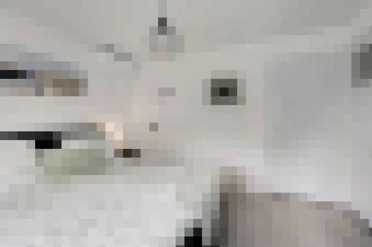 Smetanastraat 12 Zevenaar thumbnail 31