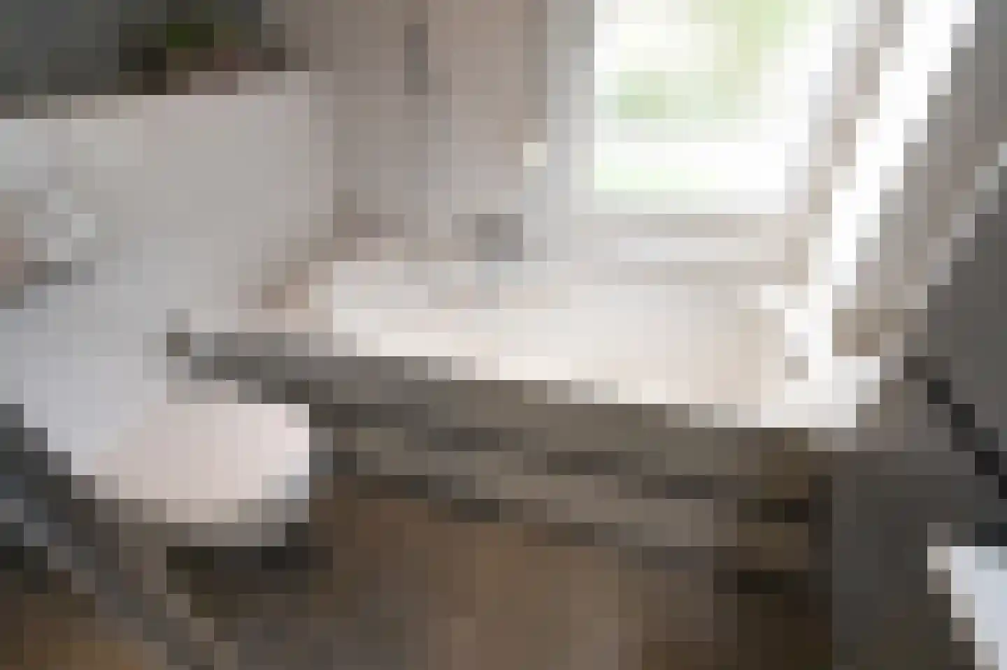 Smetanastraat 12 Zevenaar thumbnail 33