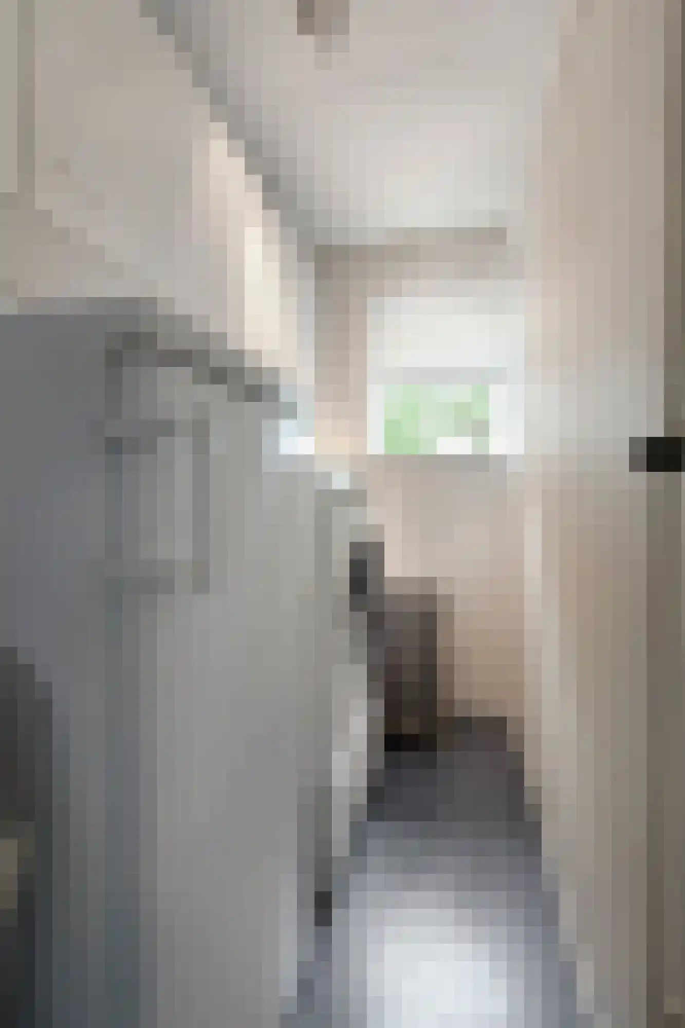 Smetanastraat 12 Zevenaar thumbnail 36