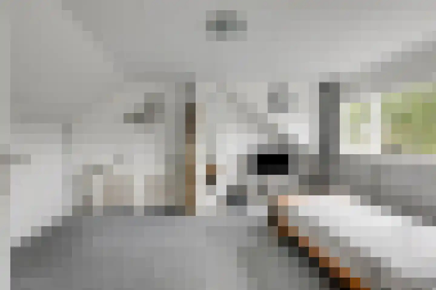 Smetanastraat 12 Zevenaar thumbnail 39