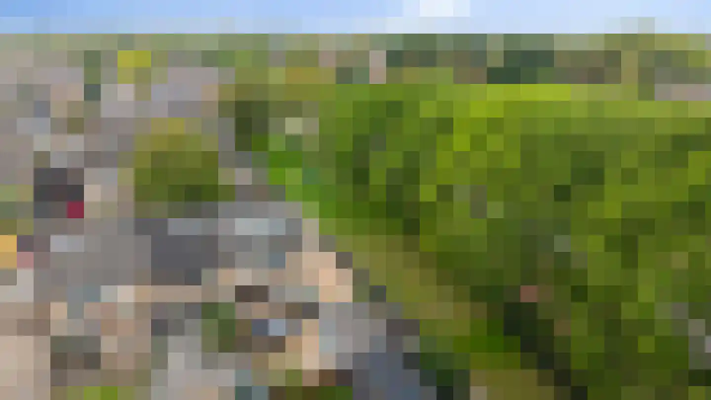 Smetanastraat 12 Zevenaar thumbnail 50