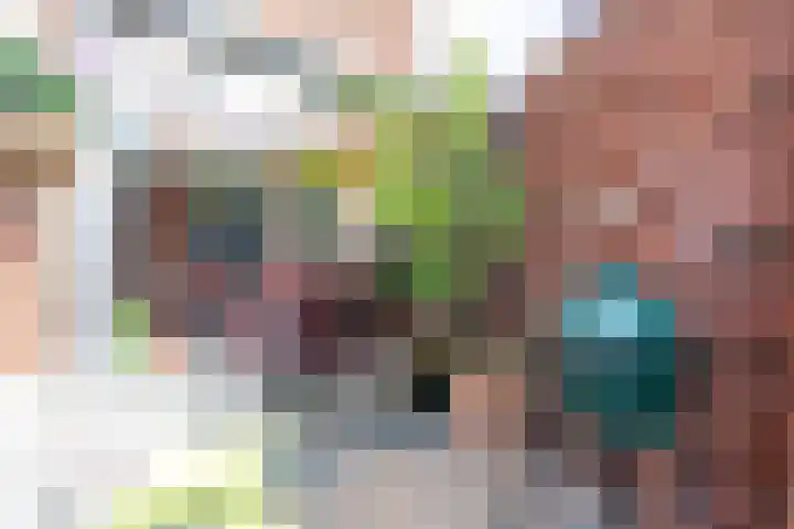 Smetanastraat 13 Amersfoort thumbnail 21