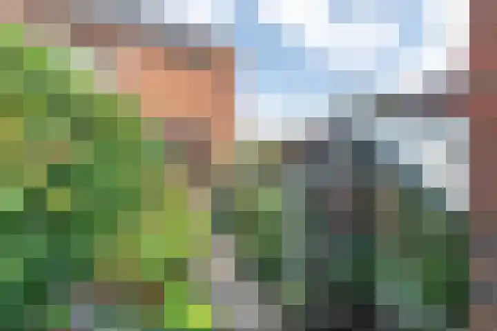 Smetanastraat 13 Amersfoort thumbnail 23