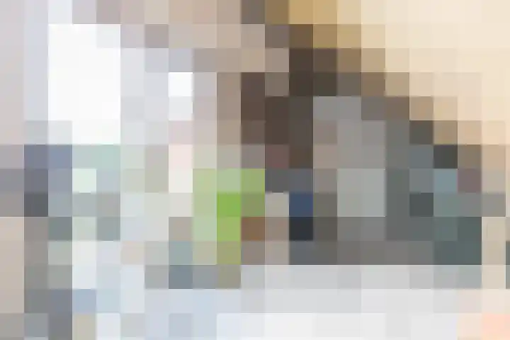 Smetanastraat 13 Amersfoort thumbnail 40