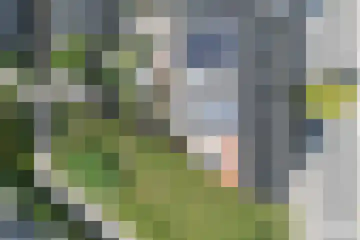 Smetanastraat 13 Amersfoort thumbnail 43