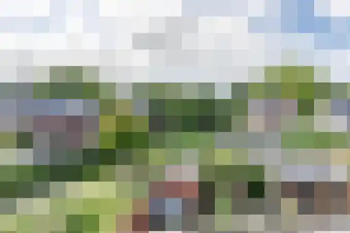 Smetanastraat 13 Amersfoort thumbnail 44