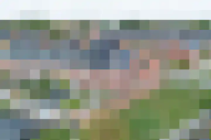 Smetanastraat 13 Amersfoort thumbnail 47