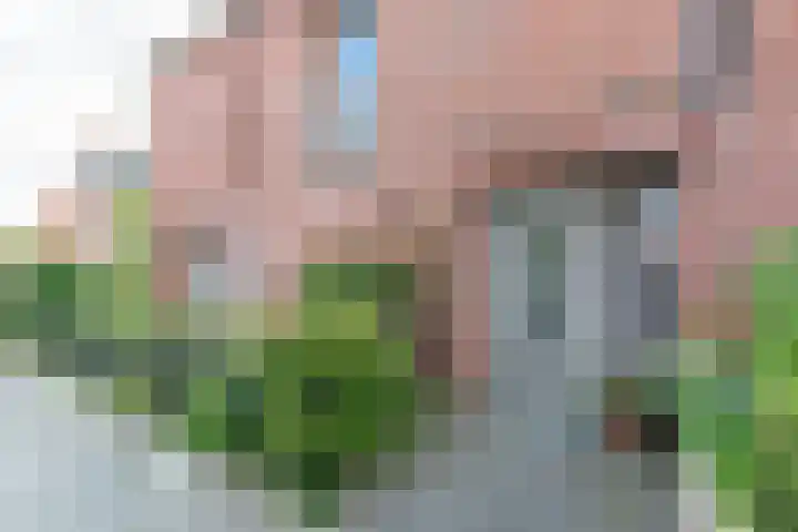 Smetanastraat 13 Amersfoort thumbnail 6