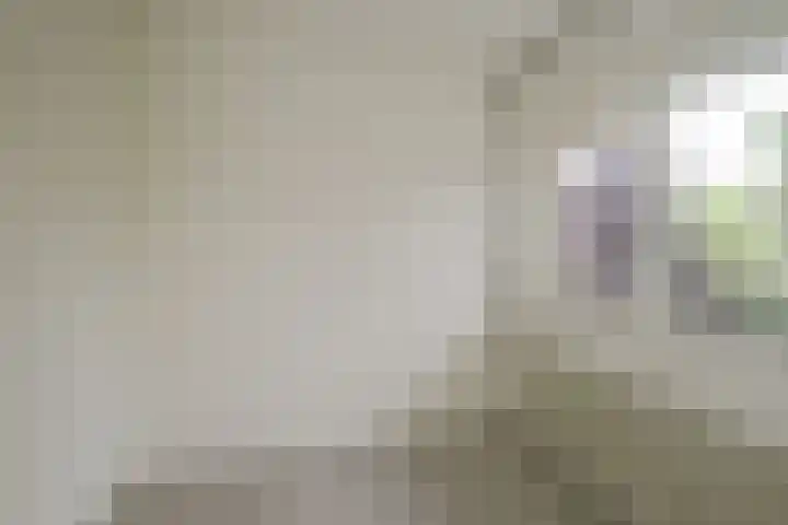 Smetanastraat 15 Almelo thumbnail 10
