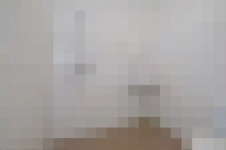 Smetanastraat 15 Almelo thumbnail 12