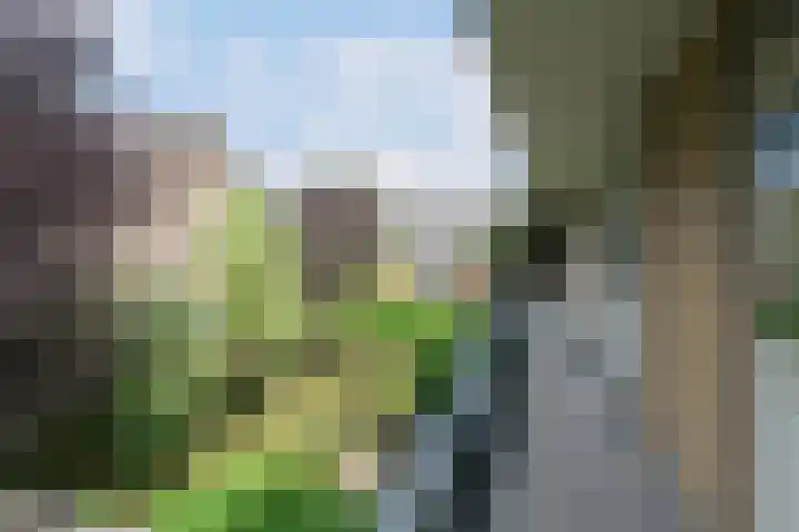 Smetanastraat 15 Almelo thumbnail 15