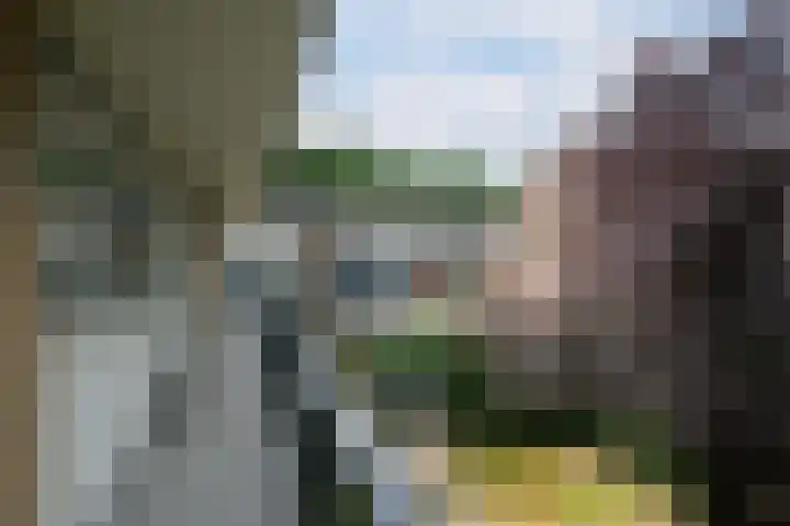 Smetanastraat 15 Almelo thumbnail 16