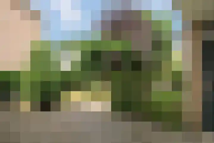Smetanastraat 15 Almelo thumbnail 17