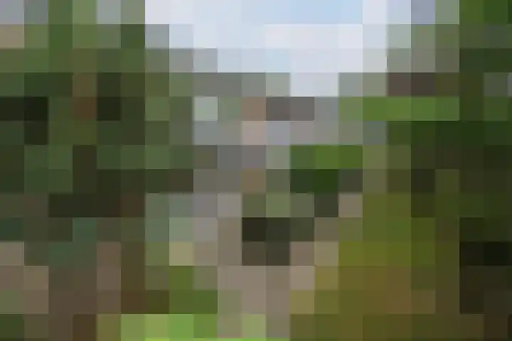 Smetanastraat 15 Almelo thumbnail 18