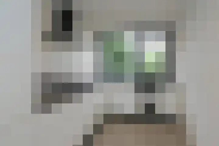 Smetanastraat 15 Almelo thumbnail 4
