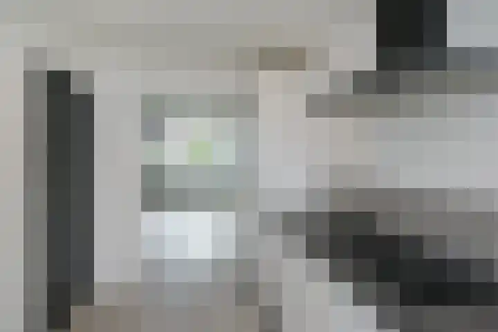 Smetanastraat 15 Almelo thumbnail 5