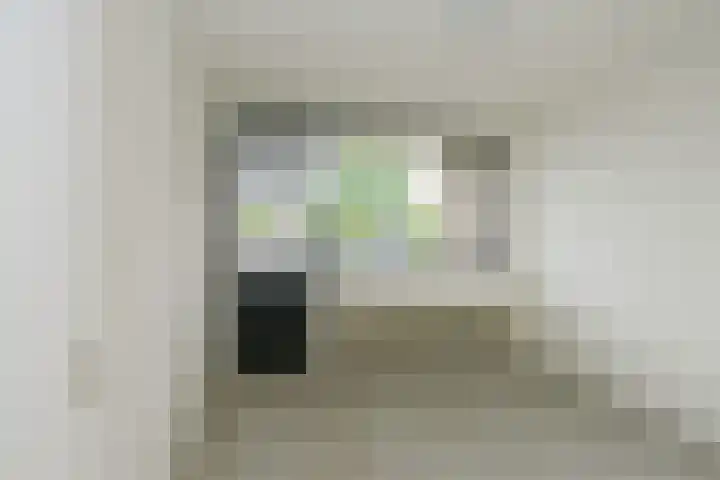 Smetanastraat 15 Almelo thumbnail 7