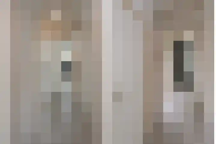 Smetanastraat 15 Almelo thumbnail 9