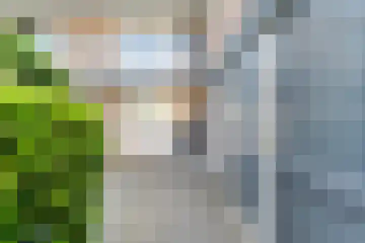 Smetanastraat 17 Almelo thumbnail 10