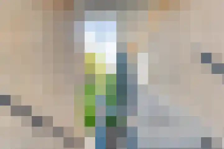 Smetanastraat 17 Almelo thumbnail 11