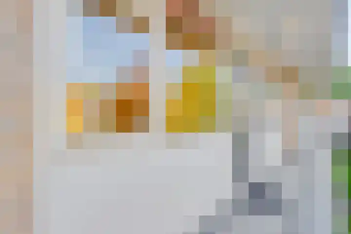 Smetanastraat 17 Almelo thumbnail 12