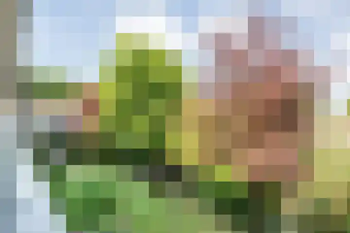 Smetanastraat 17 Almelo thumbnail 14