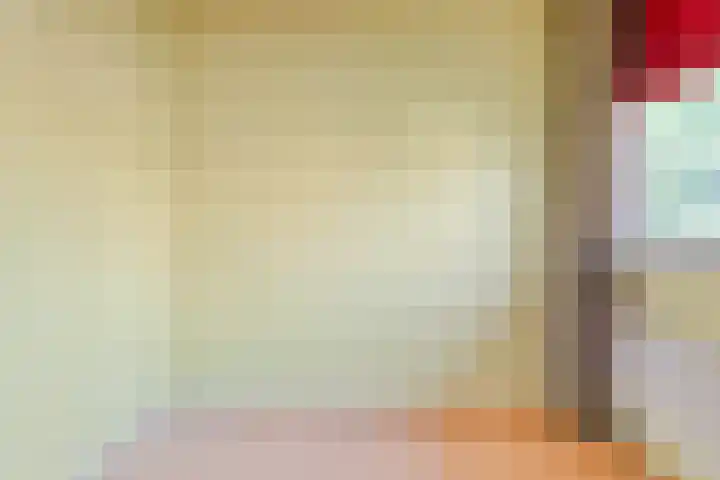 Smetanastraat 17 Almelo thumbnail 17