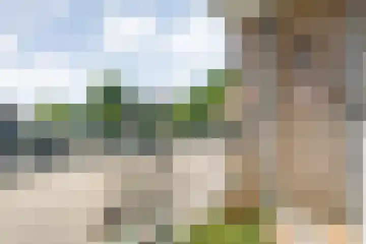 Smetanastraat 17 Almelo thumbnail 28