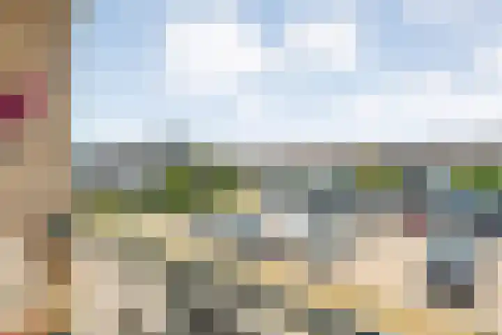 Smetanastraat 17 Almelo thumbnail 30