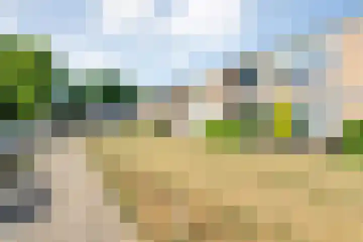 Smetanastraat 17 Almelo thumbnail 5