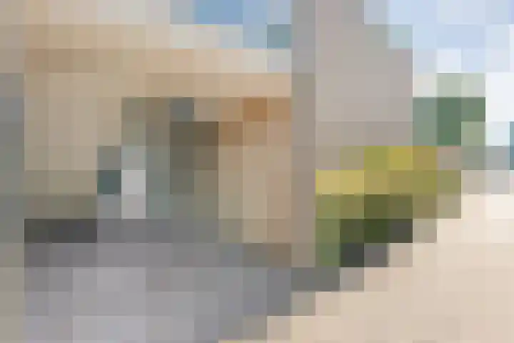Smetanastraat 17 Almelo thumbnail 8