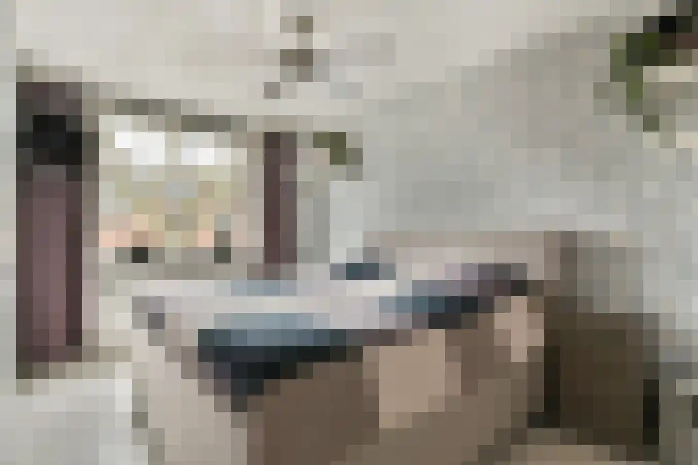 Smetanastraat 19 Spijkenisse thumbnail 10