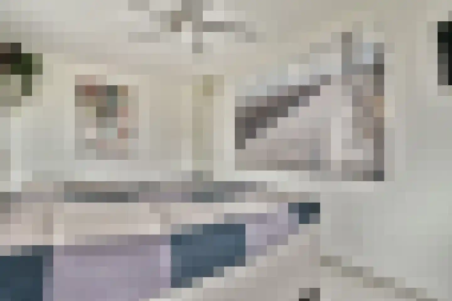 Smetanastraat 19 Spijkenisse thumbnail 11