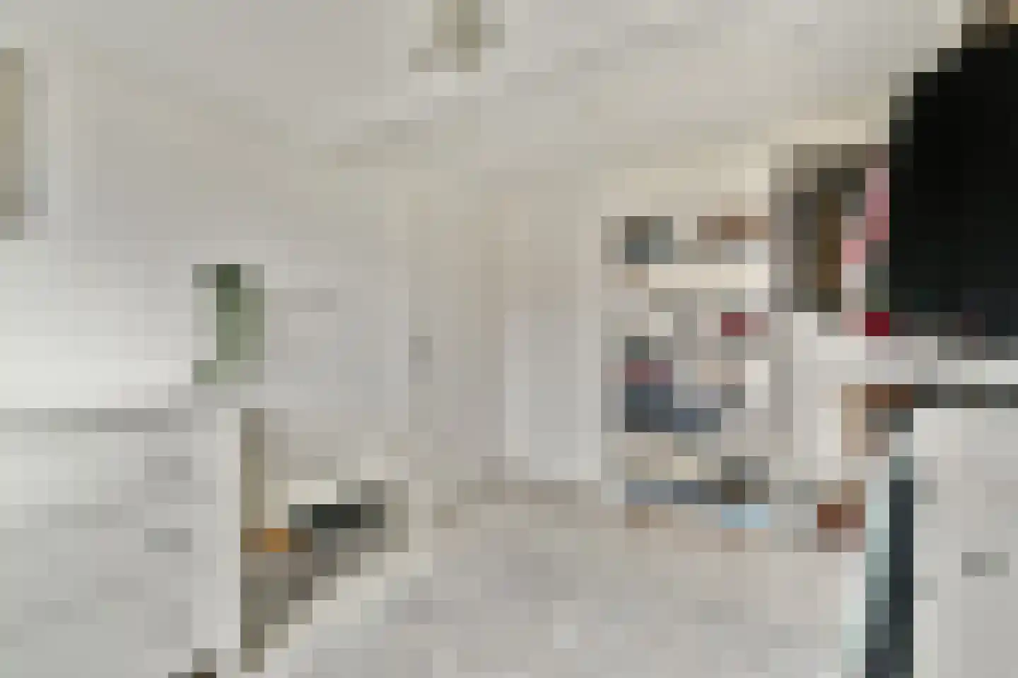 Smetanastraat 19 Spijkenisse thumbnail 13