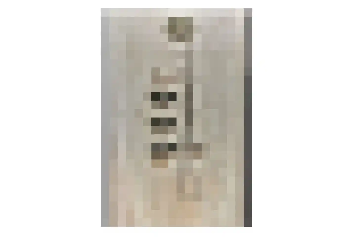 Smetanastraat 19 Spijkenisse thumbnail 14
